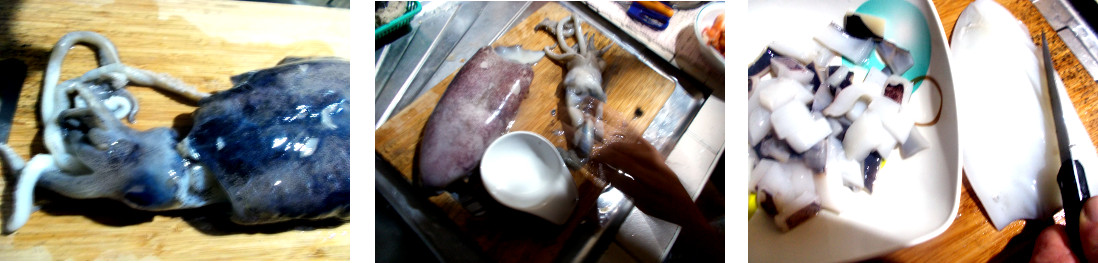 Images of squid being prepared for birthday lunch
            the next day