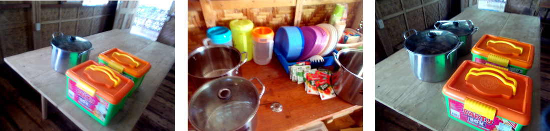 Images of tropical birthday lunch table being prepared