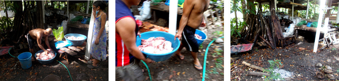 Images of clearing up after butchering a tropical
          backyard pig