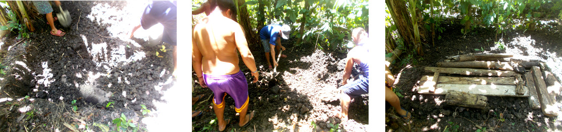 Images of burial of tropical backyard sow