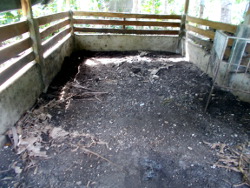 Image of empty pen after pregnant
          tropical backyard sow died