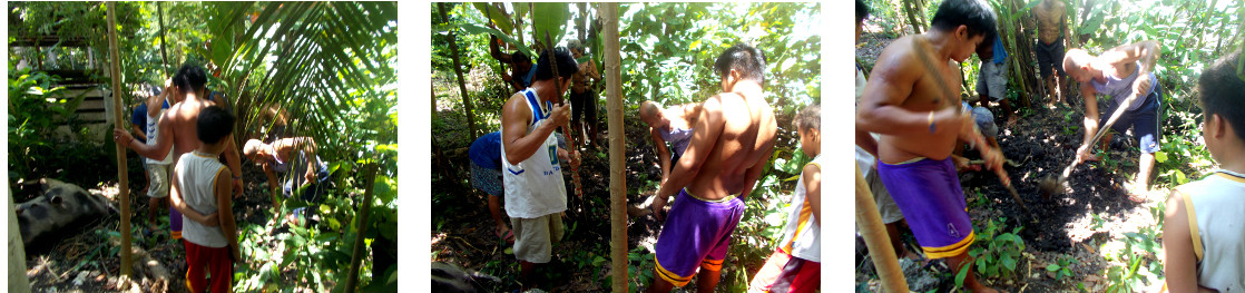 Images of men digging a hole to bury a tropical backyard
        sow