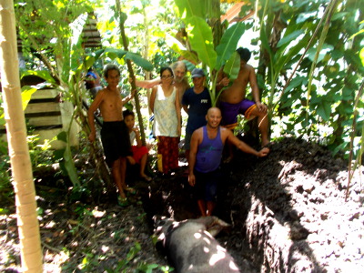 Images of people standing by grave of dead tropical
        backyard sow