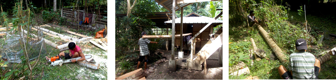 Images of tropical backyard garden borders
                  being constructed ffom sawed up logs