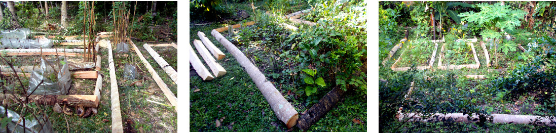 Images of tropicl backyard garden borders made
                  from sawed up coconut trees