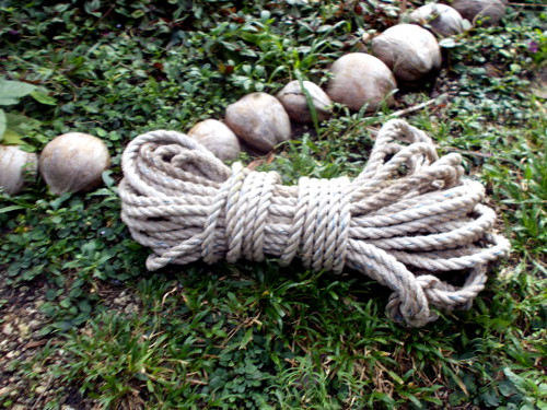 Image of rope used in Tree Felling