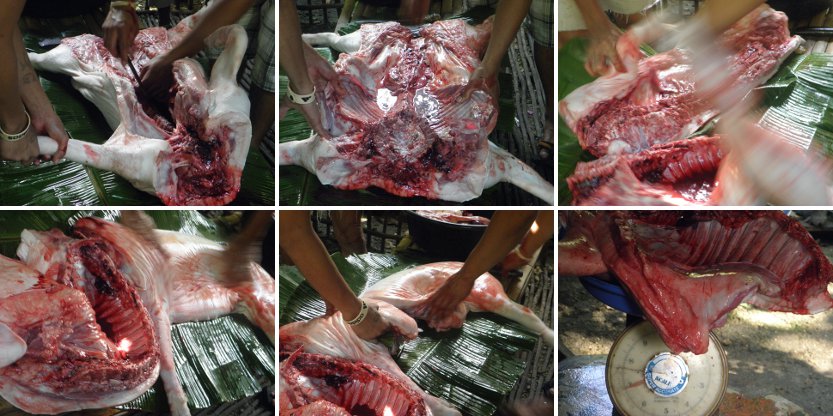 Images of pig's
        carcass being divided