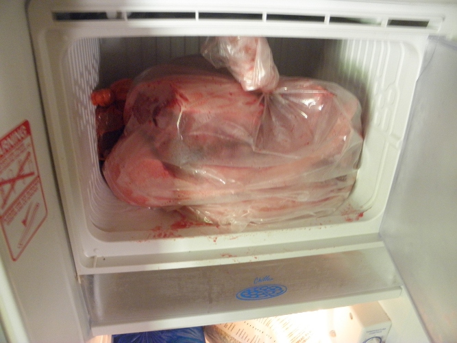 Image of Pig in
        Freezer