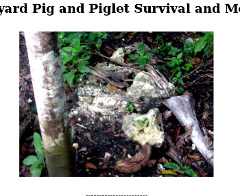Visual link to Piglet Survival Log