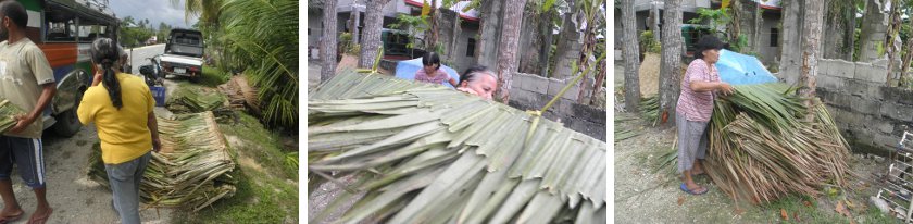 Images of finished
        Nipa panels being bundled and loaded