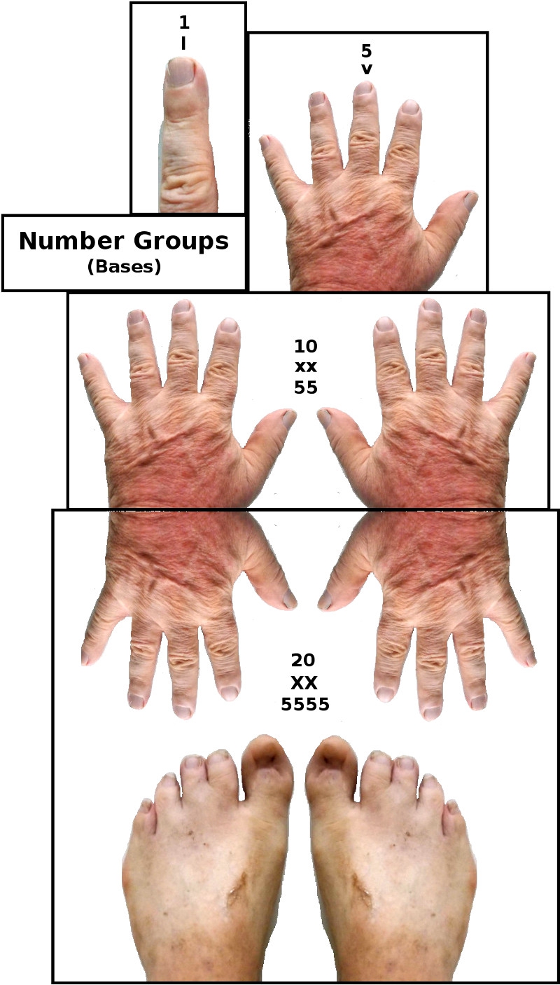 Visual Images of the imaginary
        invention of Number Bases in Mathematics